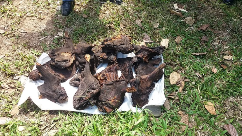 Foto: Ministerio Del Ambiente 