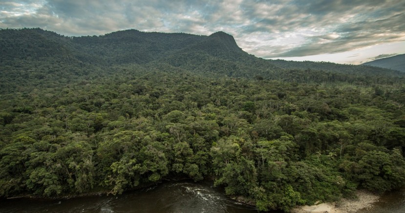 El ingreso a esta reserva, dada la lejanía a centros poblados y la dificultad de acceso, no está permitida a turistas / Foto: cortesía Nature and Culture International El ingreso a esta reserva, dada la lejanía a centros poblados y la dificultad de acceso, no está permitida a turistas / Foto: cortesía Nature and Culture International