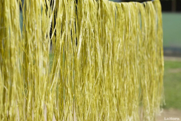 Previo a la realización de la artesanía, es necesario que la chambira pase por un proceso de ‘secado’ para que la fibra no se deteriore. Foto: La Hora