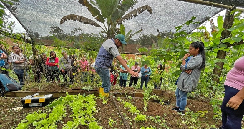 170 huertos familiares se implementaron en Napo / Foto: cortesía Ministerio de Agricultura