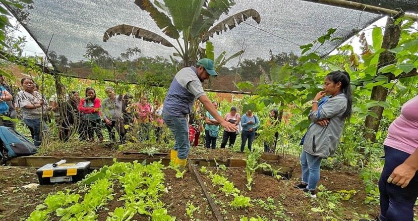 170 huertos familiares se implementaron en Napo / Foto: cortesía Ministerio de Agricultura 170 huertos familiares se implementaron en Napo / Foto: cortesía Ministerio de Agricultura