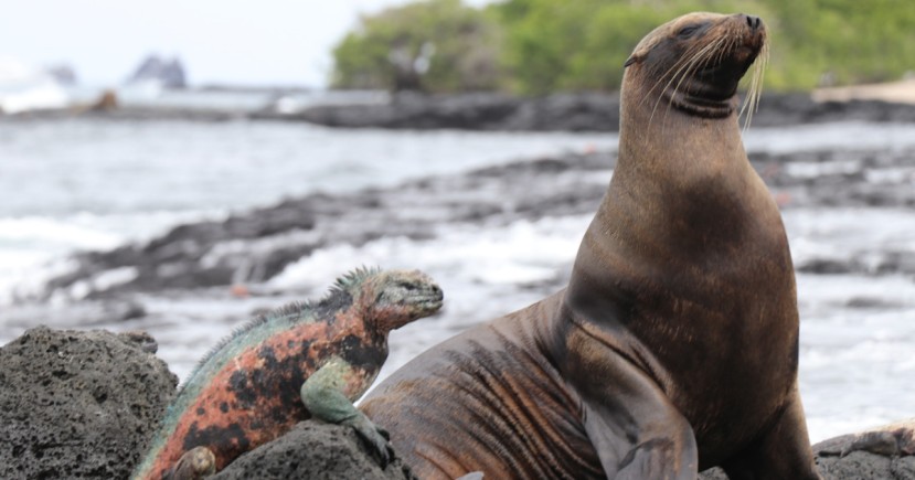 En 2022 se registró el ingreso de 267.688 ciudadanos / Foto: Cortesía Parque Nacional Galápagos