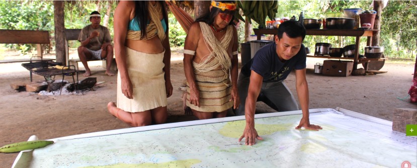 Foto: Mongabay Foto: Mongabay