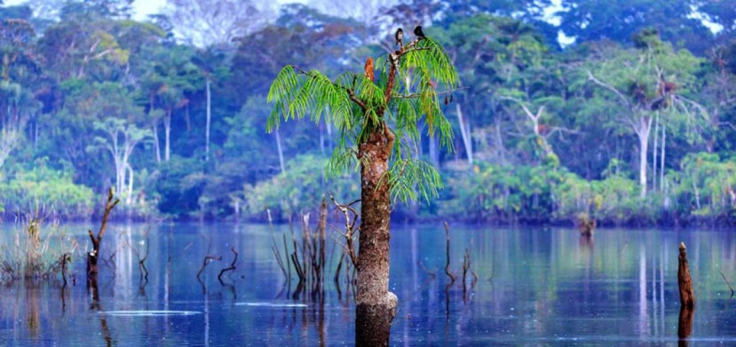 Foto: El Telégrafo