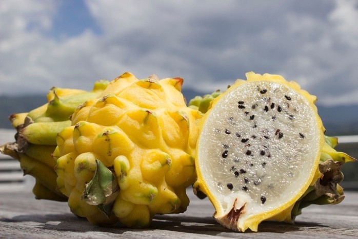 Se espera que el fruto amarillo sea el que más se exporte al gigante asiático / Foto: cortesía MAGAP