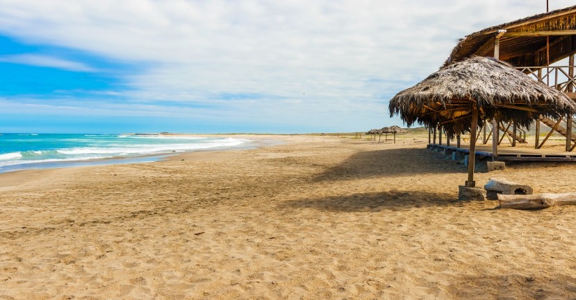 Foto: Shutterstock Foto: Shutterstock