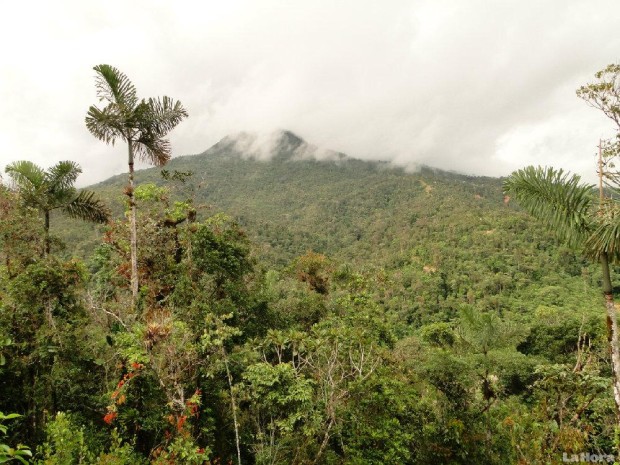 La Cordillera del Cóndor aún es una zona desconocida para los investigadores. Foto: La Hora