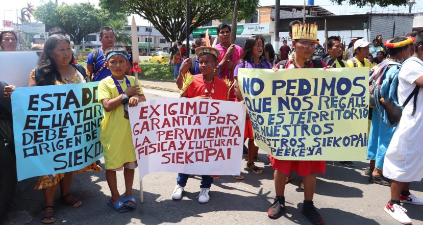 La acción de protección fue presentada ante la Justicia de Shushufindi, en la provincia de Sucumbíos / Foto: EFE La acción de protección fue presentada ante la Justicia de Shushufindi, en la provincia de Sucumbíos / Foto: EFE