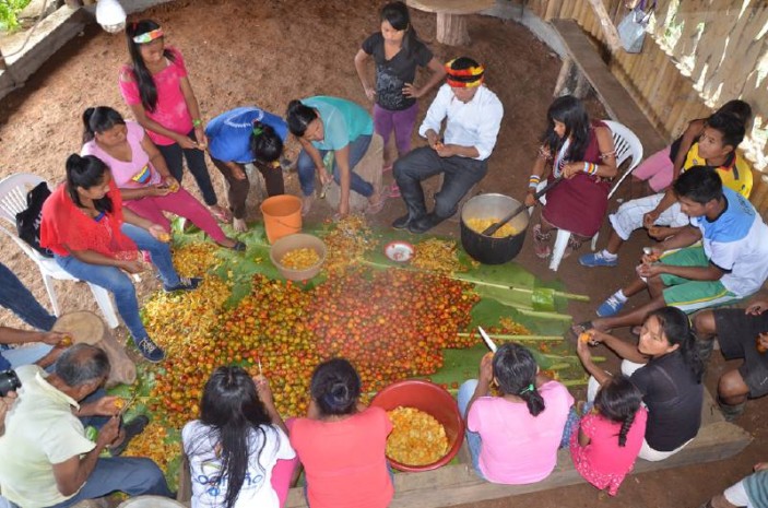 La comunidad, en especial las mujeres, participa en la clasificación y preparación de la chicha base de la chonta, que es una bebida tradicional en la región. Foto: El Universo La comunidad, en especial las mujeres, participa en la clasificación y preparación de la chicha base de la chonta, que es una bebida tradicional en la región. Foto: El Universo