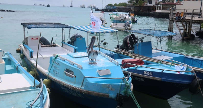 La reserva de Galápagos está en el foco de un polémico canje de deuda / Foto EFE La reserva de Galápagos está en el foco de un polémico canje de deuda / Foto EFE