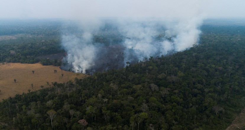 Cerca de 300 incendios registrados en la Amazonía desde inicios de 2021 / Foto: EFE