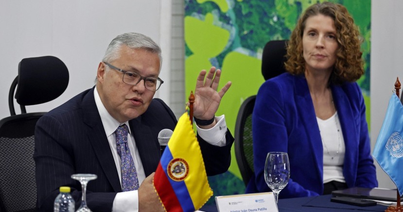En este año se registraron 204.000 hectáreas sembradas mientras que en 2020 esa cifra fue de 143.000 hectáreas / Foto: EFE En este año se registraron 204.000 hectáreas sembradas mientras que en 2020 esa cifra fue de 143.000 hectáreas / Foto: EFE