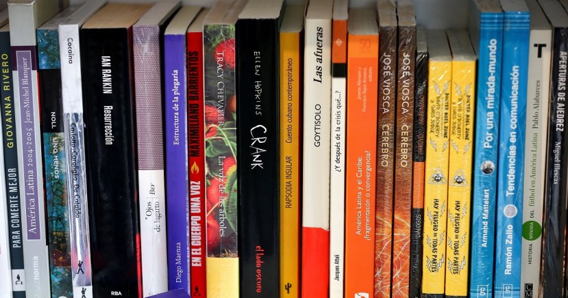 En el encuentro literario, que se inaugurará el 8 de diciembre, se hablará sobre los desafíos y las oportunidades de las ferias de libros en tiempos de pandemia. Foto: EFE En el encuentro literario, que se inaugurará el 8 de diciembre, se hablará sobre los desafíos y las oportunidades de las ferias de libros en tiempos de pandemia. Foto: EFE