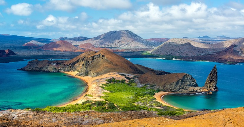 Ecuador y Costa Rica lanzan expedición por migravía de Coco a Galápagos / Foto: Shutterstock Ecuador y Costa Rica lanzan expedición por migravía de Coco a Galápagos / Foto: Shutterstock