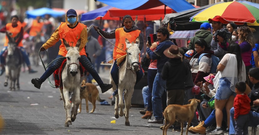 Esta fue la sexta edición de la competencia que tuvo que ser suspendida los dos últimos años por la pandemia / Foto: EFE Esta fue la sexta edición de la competencia que tuvo que ser suspendida los dos últimos años por la pandemia / Foto: EFE