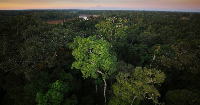 El evento se centrará en el debate sobre el aporte de los bosques de América Latina y el Caribe en temas de seguridad alimentaria y otros aspectos del desarrollo rural / Foto: cortesía ministerio de Ambiente El evento se centrará en el debate sobre el aporte de los bosques de América Latina y el Caribe en temas de seguridad alimentaria y otros aspectos del desarrollo rural / Foto: cortesía ministerio de Ambiente