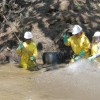 Petroecuador crea 913 empleos verdes y avanza en la recuperaci&oacute;n ambiental