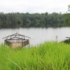 Investigadores desarrollan primer modelo de pesca sostenible para la Amazon&iacute;a