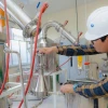 Planta en Puyo procesar&aacute; especies amaz&oacute;nicas para aceites esenciales 