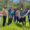 Capacitaci&oacute;n impulsa pr&aacute;cticas de ganader&iacute;a sostenible en productores de Napo