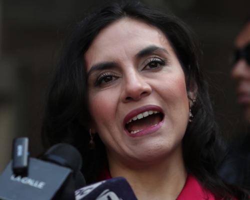 Viajó para presentar su caso por "la violencia" que ha sufrido a sus derechos