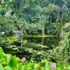 El ‘Bosque de luz’ fue inaugurado en el Jardín Botánico de Quito