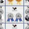 Editorial Alectrión obtuvo 6 premios en edición 25 de premio internacional de libros