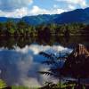 La ONU premia a un proyecto medioambiental peruano que rehabilita bosques en los Andes
