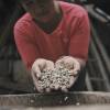 La UTPL creó una serie documental sobre el café de Loja