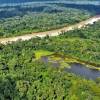 El 42 % de los bosques vírgenes de la Amazonía no tiene protección y pueden desaparecer