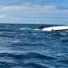29 personas fueron rescatadas tras naufragio de un bote en Galápagos