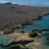 Ejecución de proyecto para reintroducir 12 especies extintas en Galápagos inició