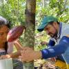 Productores de Napo buscan incrementar la producción de cacao