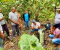 Napo: Productores de cacao en Pano fueron capacitados