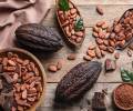 Los desafíos climáticos, incluyendo El Niño, han afectado la producción de cacao en África Occidental 