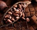El cacao alcanza precio récord y supera los $9.600 por tonelada
