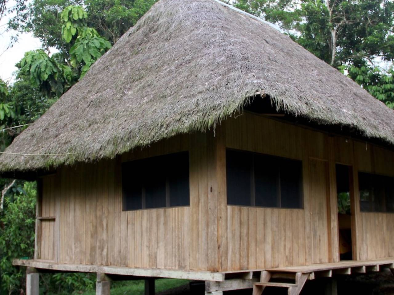 Chonta, toquilla y pambil, son los materiales usados en las casas de los  indígenas amazónicos | El Oriente, Ecuador