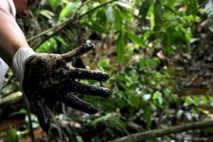 Un informe elaborado por un equipo de científicos norteamericanos determinó que la petrolera Chevron causó contaminación tóxica en Ecuador (Archivo: Difusión)