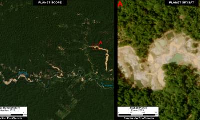 Unas 1.660 hectáreas fueron deforestadas en la Amazonía ecuatoriana por minería aurífera desde 2017 / Foto: cortesía MAAP