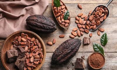 Los desafíos climáticos, incluyendo El Niño, han afectado la producción de cacao en África Occidental / Foto: archivo