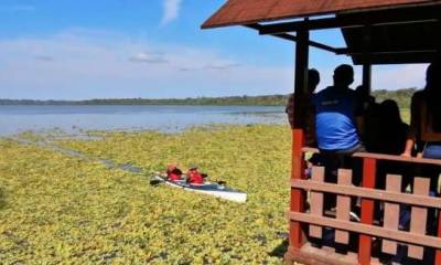DISFRUTE. La laguna de Limoncocha es recorrida en bote por los turistas. Foto: La Hora