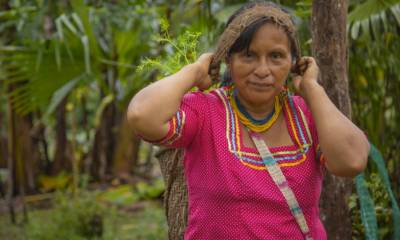 “Amazonía Sostenible al 2030”, una Iniciativa para la Amazonía ecuatoriana / Cortesía del MAAE