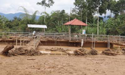 13 viviendas fueron las más afectadas. Hay varios sectores sin agua potable debido a la destrucción de tuberías y alcantarillado / Foto: cortesía de Alcadía de Nangaritza