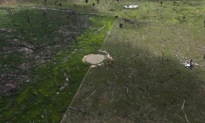 En esta toma aérea de 2013 se ve una zona deforestada de la Amazonía, en el estado de Pará, en donde unas vacas, a la derecha, pastan. Credit Nacho Doce/Reuters