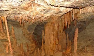 Existen tres estados principales de formación del karst, caracterizados por una morfología particula / Foto Ikiam