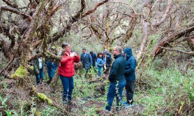 Ese espacio es el área protegida número 75 de Ecuador y es también una zona conocida como Refugio de Vida Silvestre / Foto: cortesía Ministerio de Ambiente