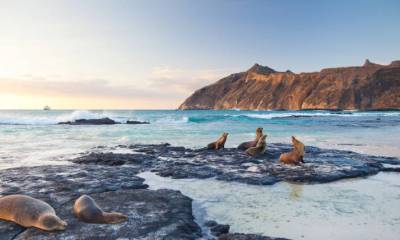 El archipiélago de Galápagos fue declarado como Patrimonio Natural de la Humanidad por la Unesco en 1978. Foto: Expreso