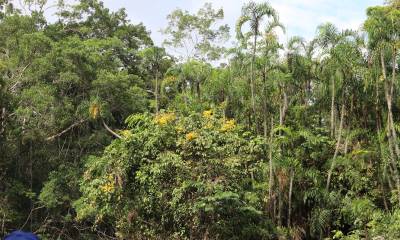 Fondo Verde para el Clima aprueba financiación para dos proyectos en Ecuador / Foto: El Oriente