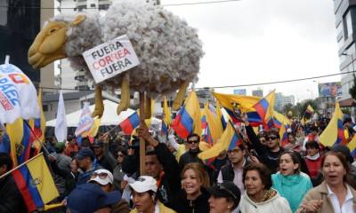 En las calles. Los militantes de CREO-SUMA, simpatizantes y ciudadanos siguen en las afueras del CNE. Foto: Expreso