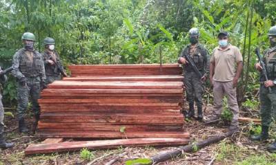 El Ejército incautó madera y armas en Sucumbíos / Foto: Cortesía de Ejército ecuatoriano